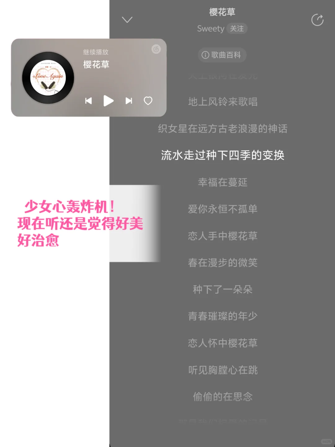 谁的DNA动了❗40首偶像团体青春金曲🎼