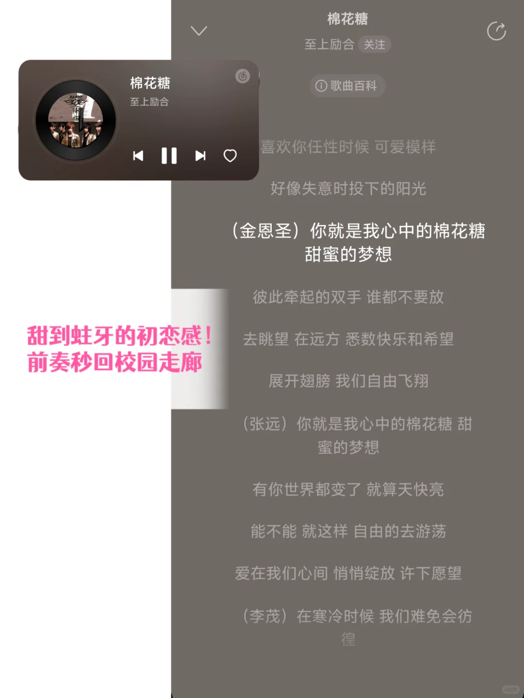 谁的DNA动了❗40首偶像团体青春金曲🎼