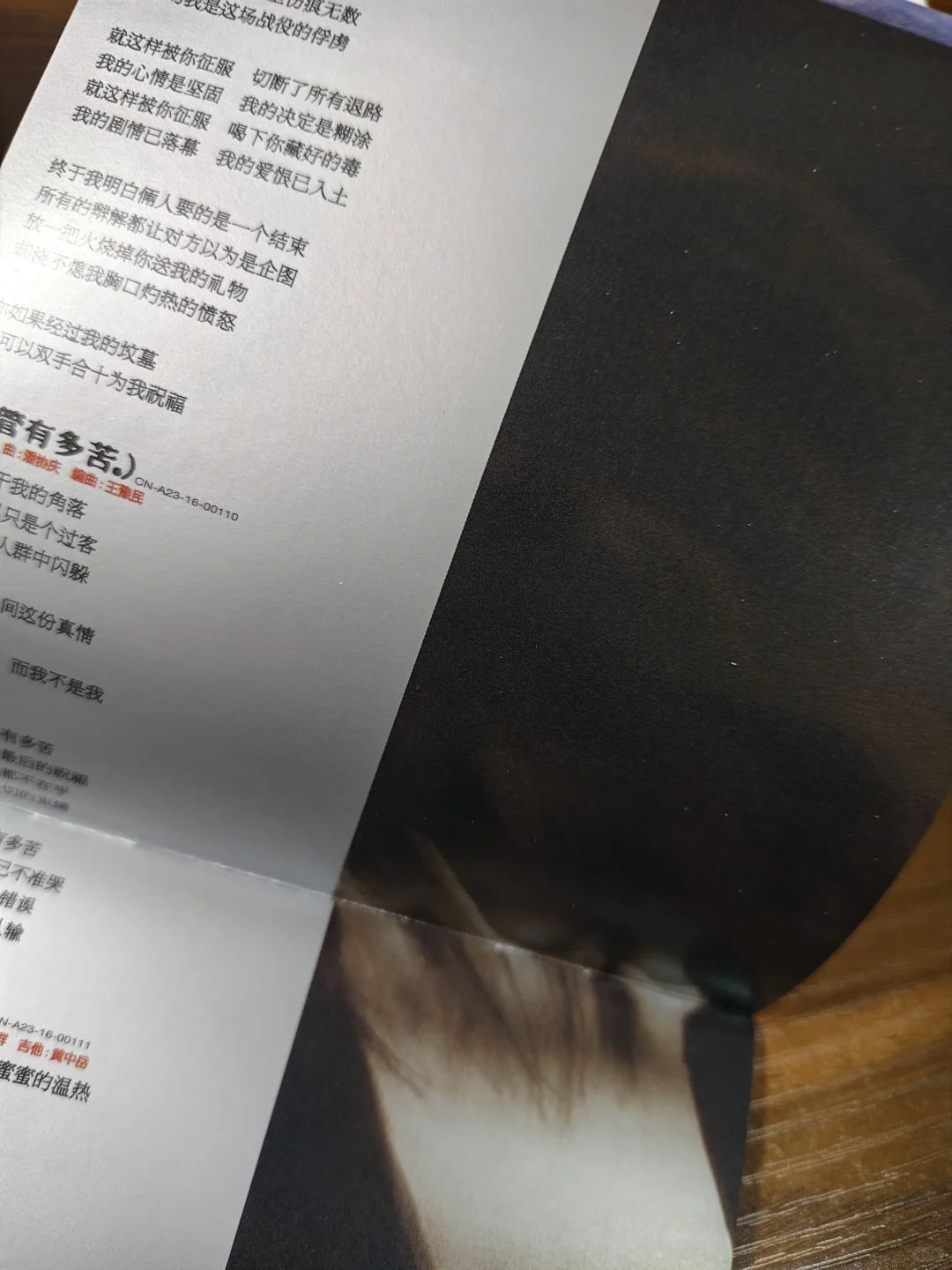 晒碟纪106-那英「征服」