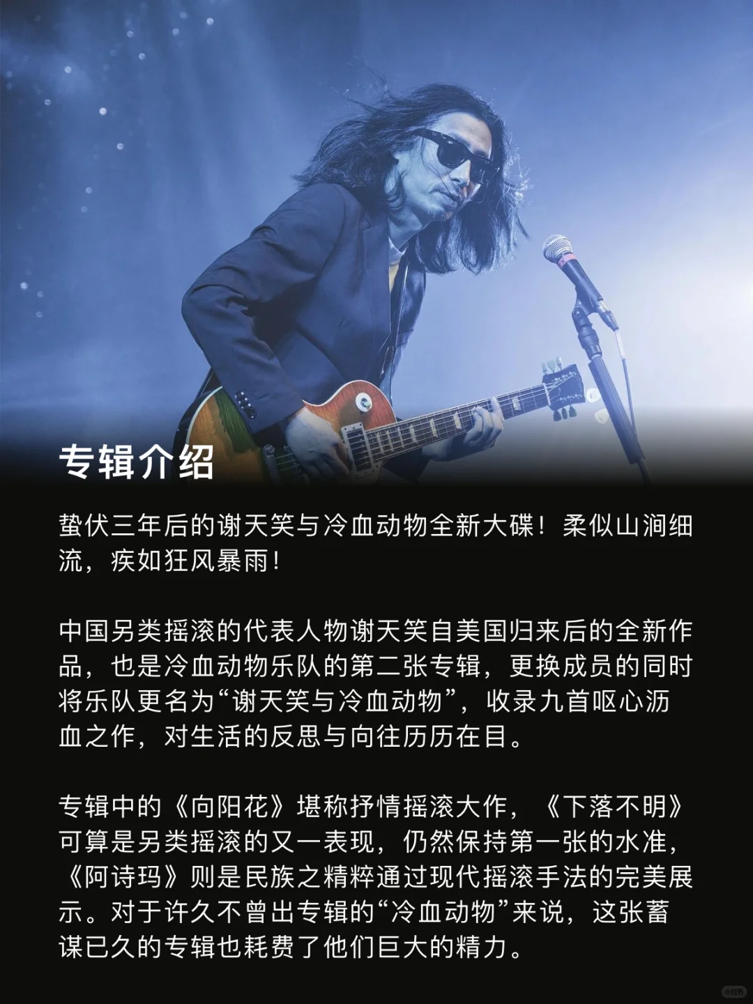 国摇#46｜向阳花 如果一直生长在黑暗下