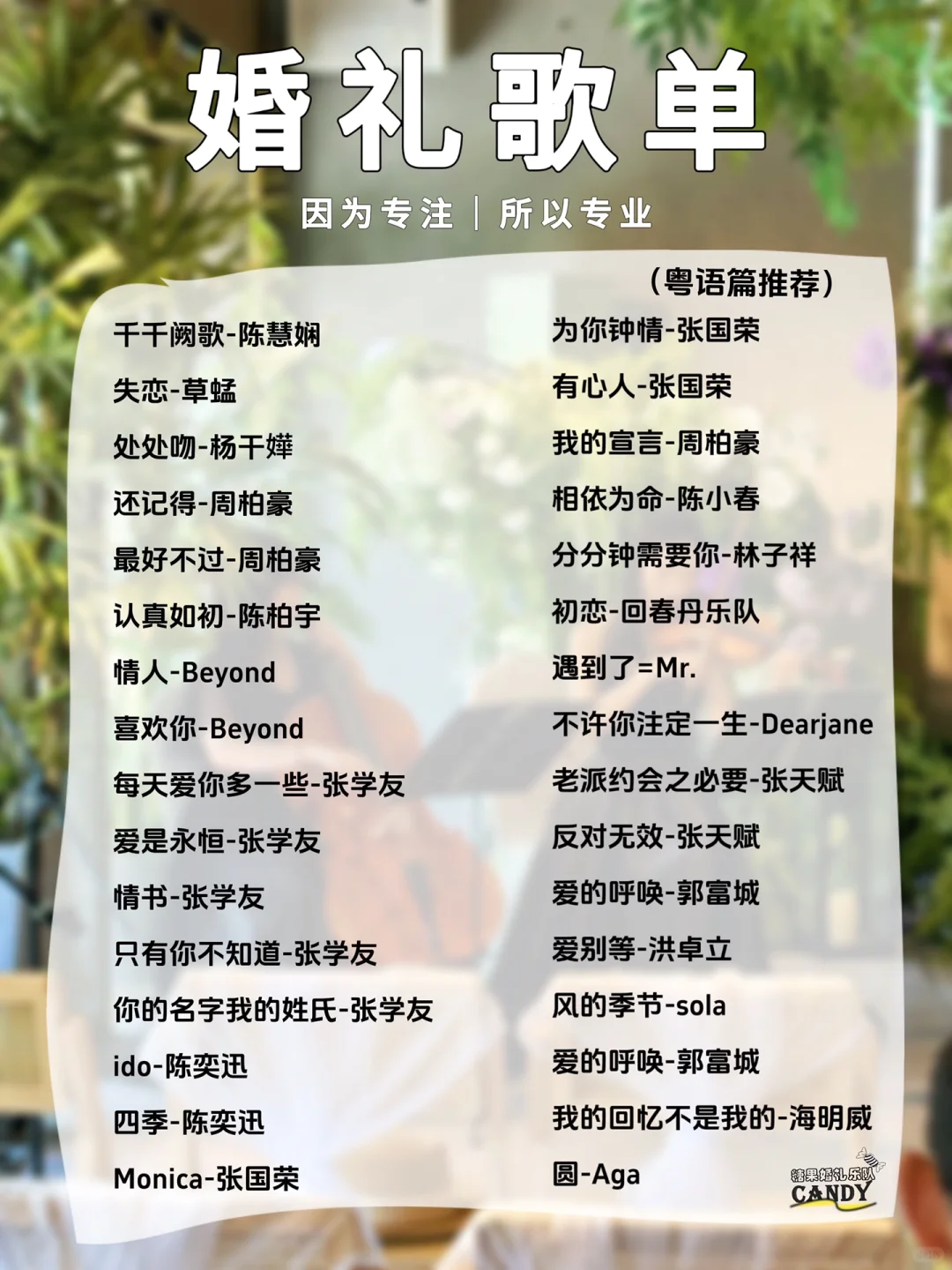 粤语宝藏精选歌单！🎵