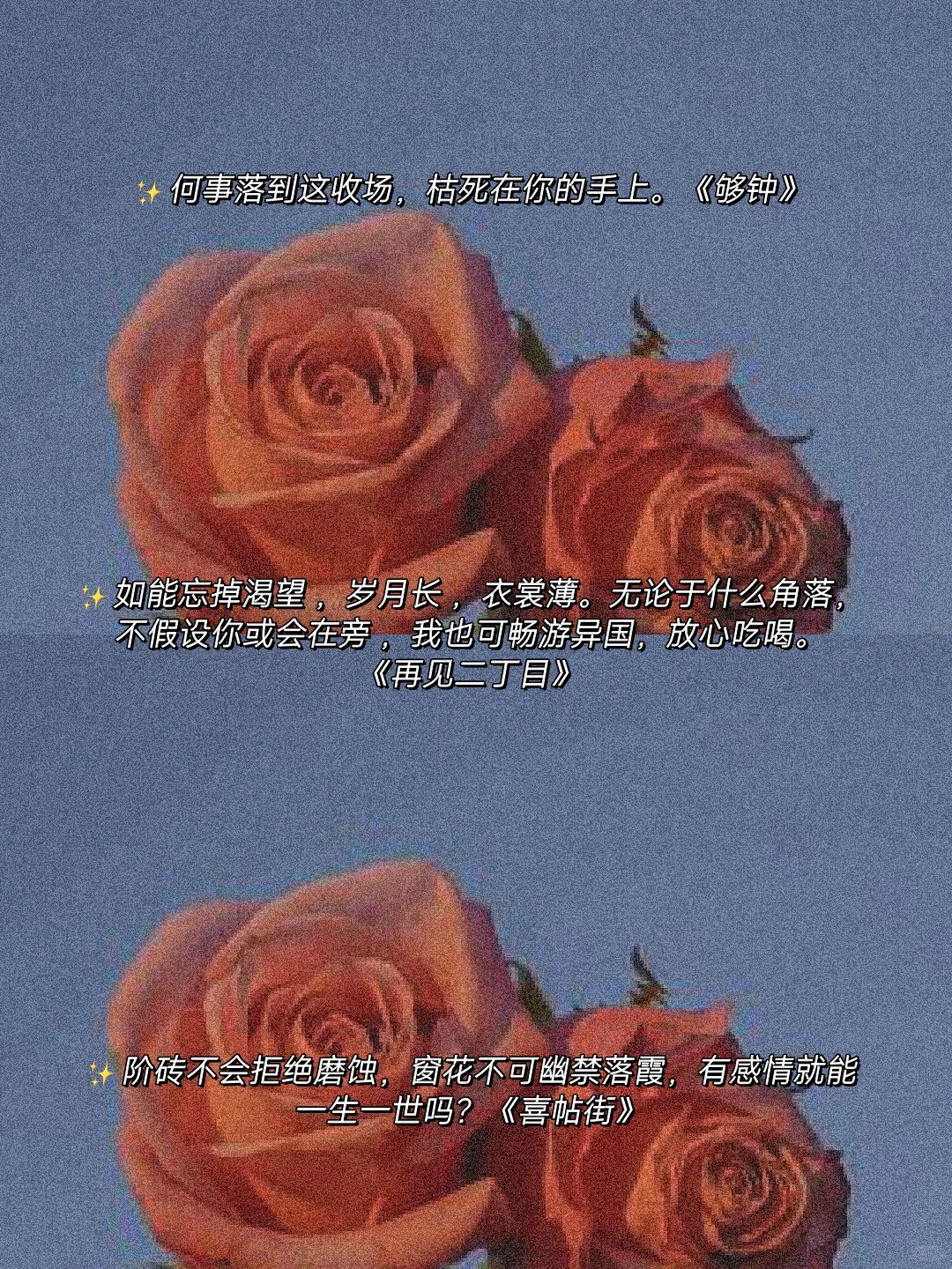 粤语歌词|想起时眼底全是温柔的缱绻🔥