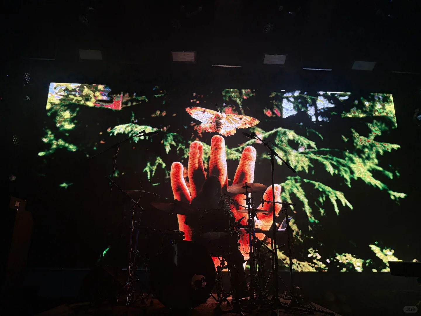 夸克乐队《设计》十周年巡演-北京站