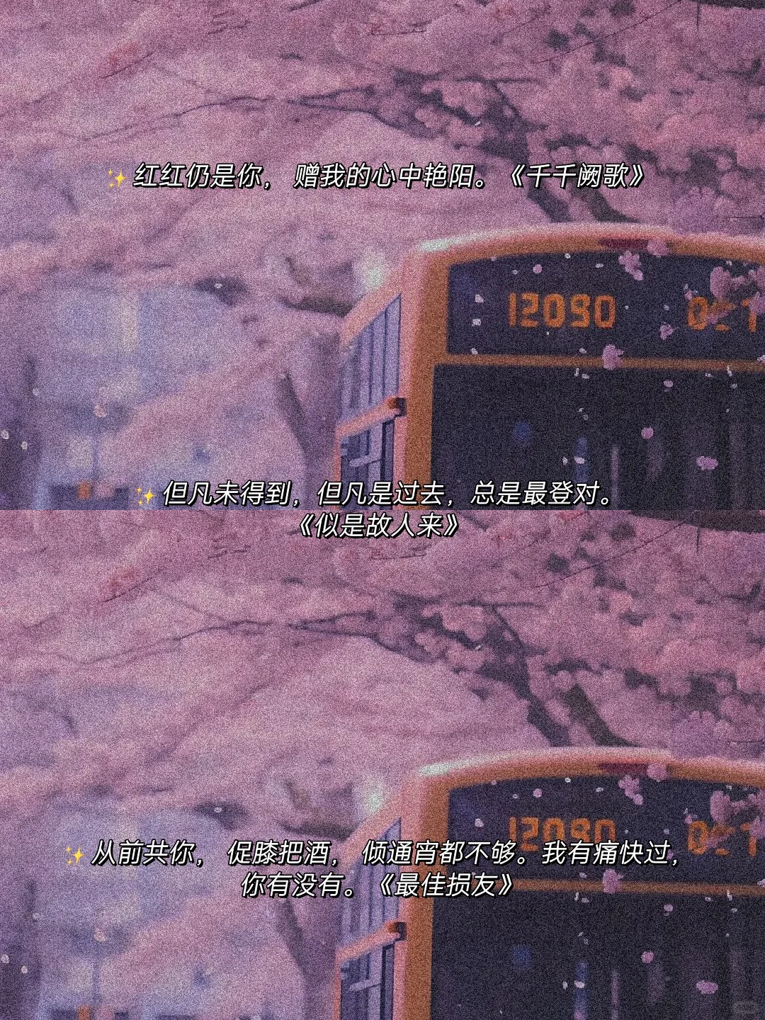 粤语歌词|想起时眼底全是温柔的缱绻🔥