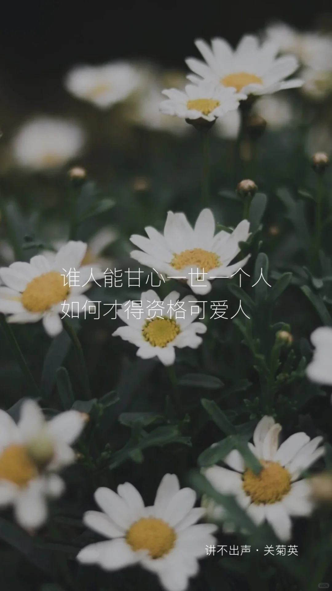 🎬看了一部香港电影， 种草了8首怀旧金曲🎵