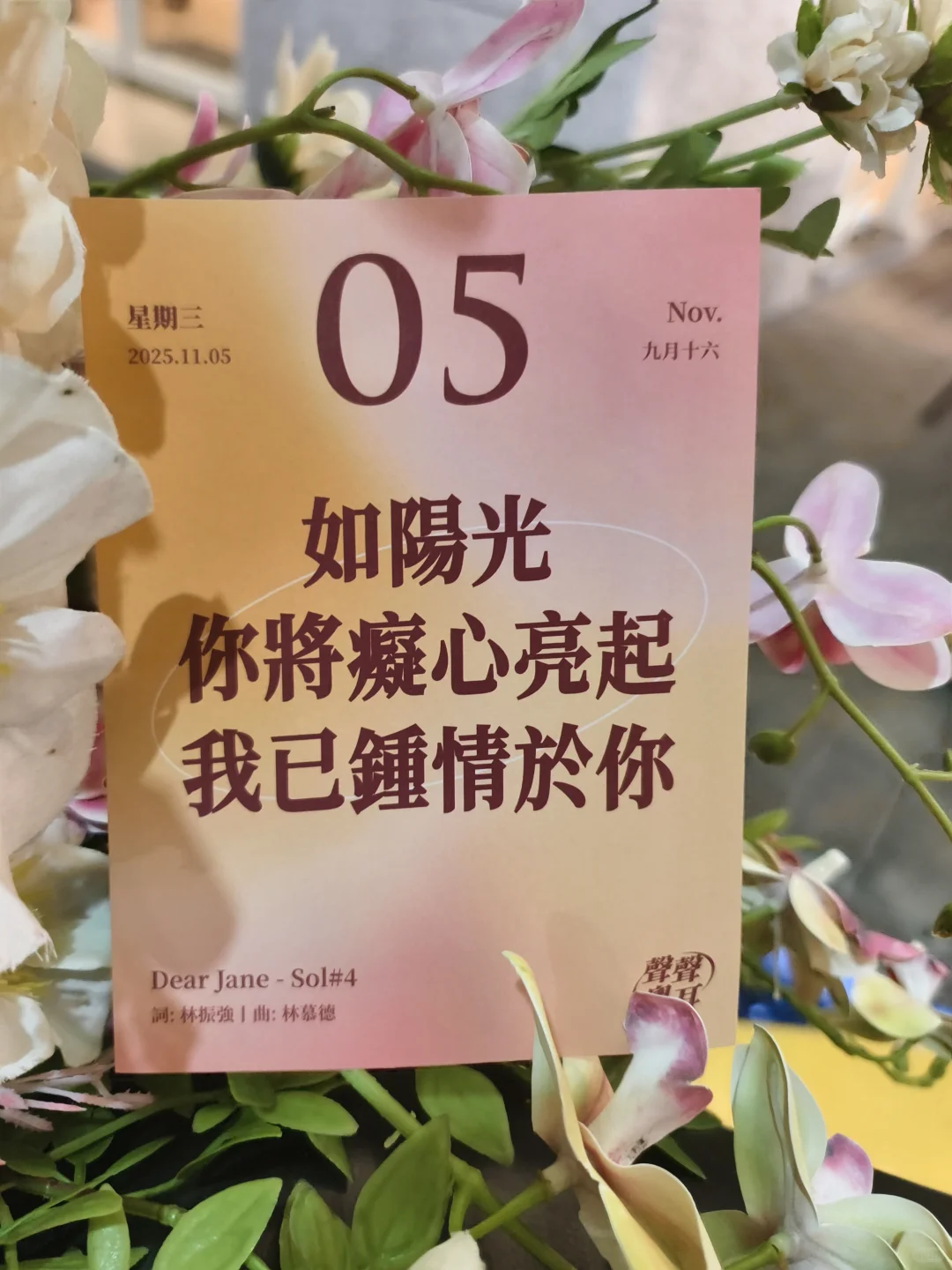 你将癡心亮起 我已鍾情於你｜dear Jane