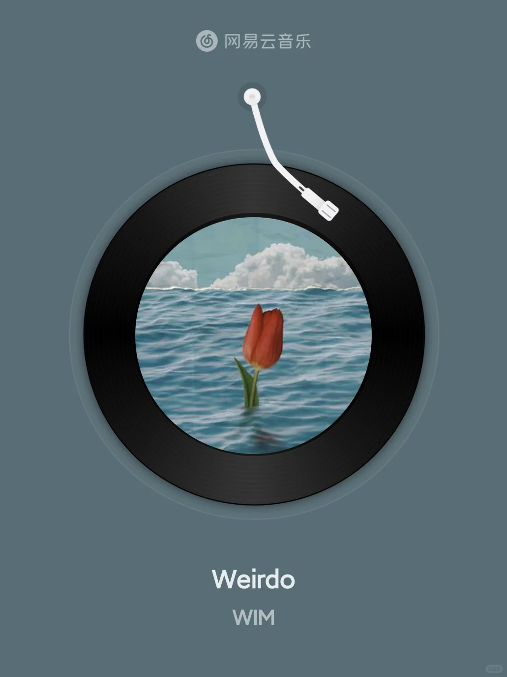 Weirdo - WIM
