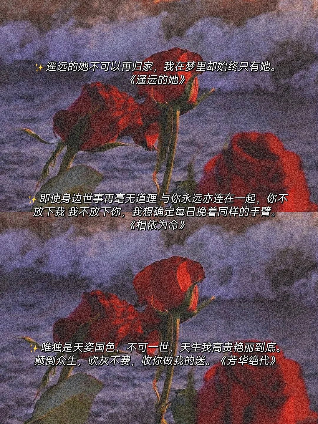 粤语歌词|想起时眼底全是温柔的缱绻🔥