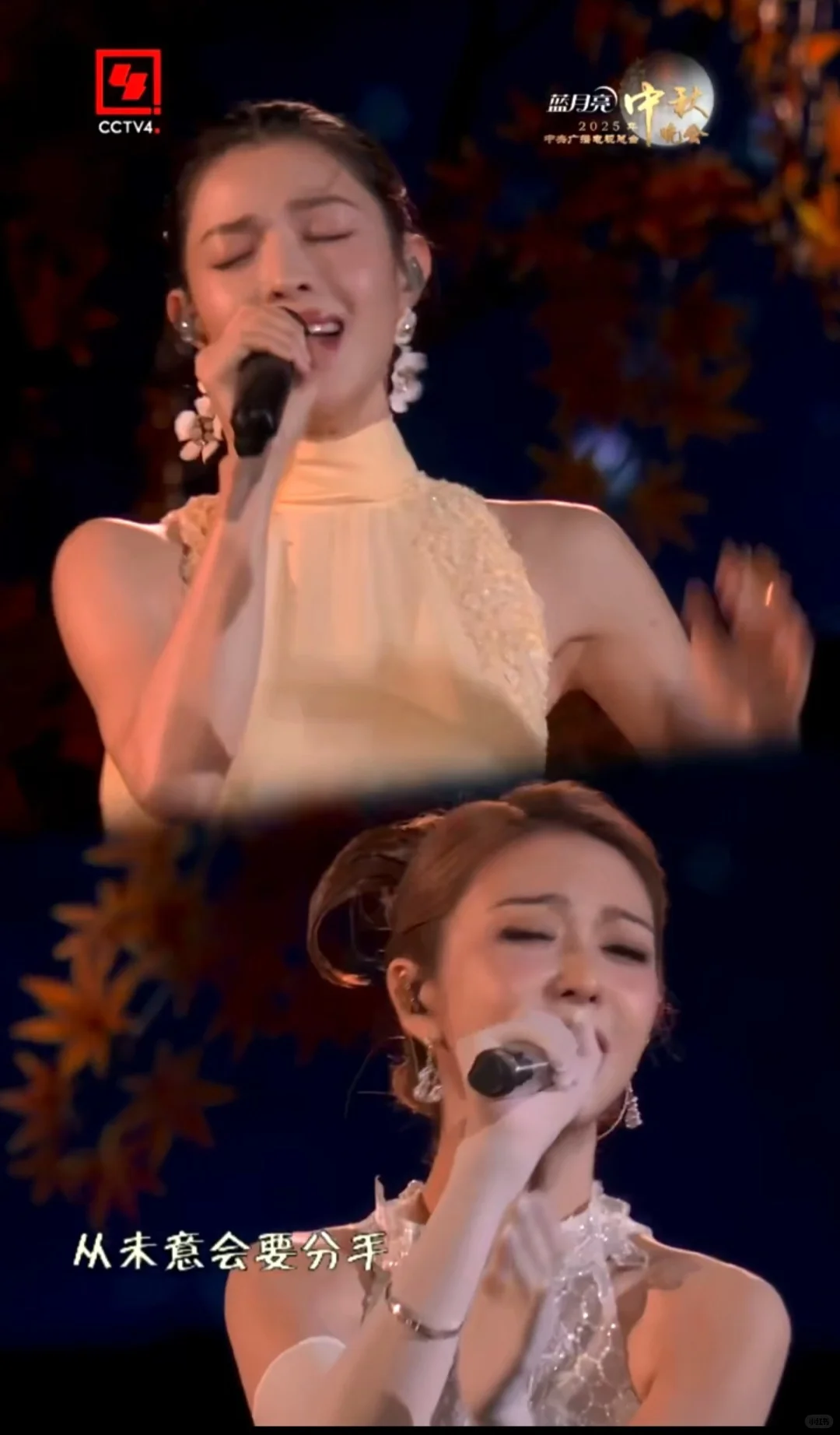 薛凯琪钟楚曦，引发热议!