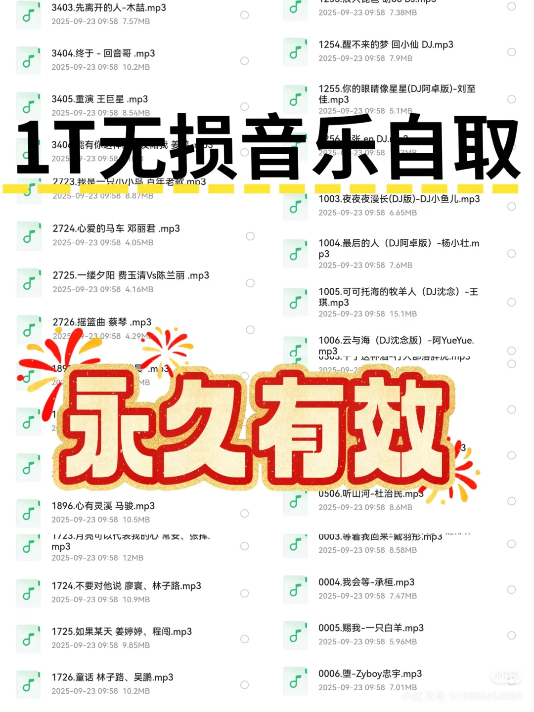 精心整理1Tb无损车载音乐！开车必备！