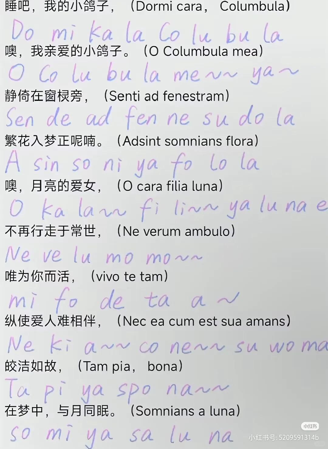 翻唱「银月之庭」少女唱的歌