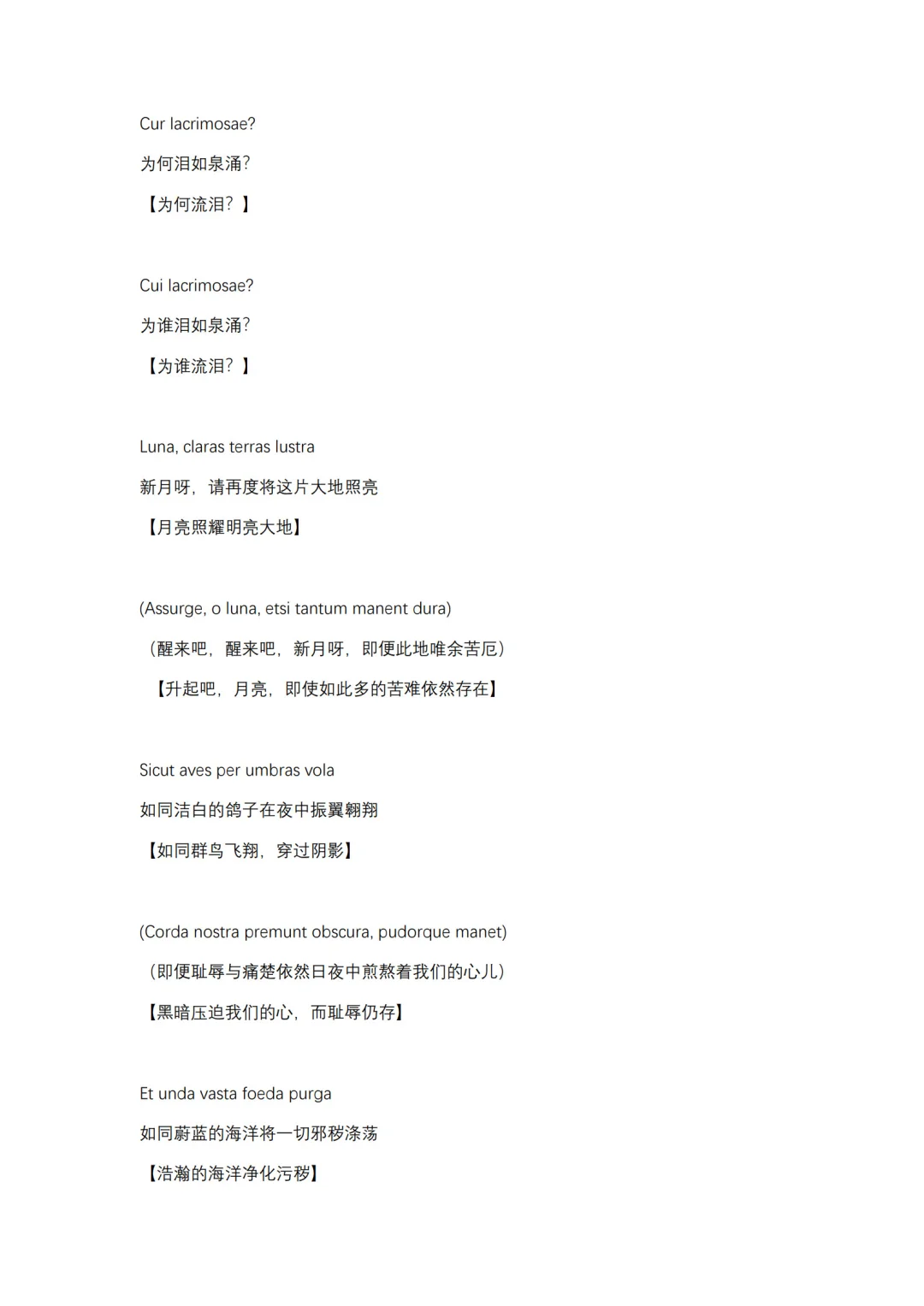 挪德卡莱主题曲歌词（附直译）