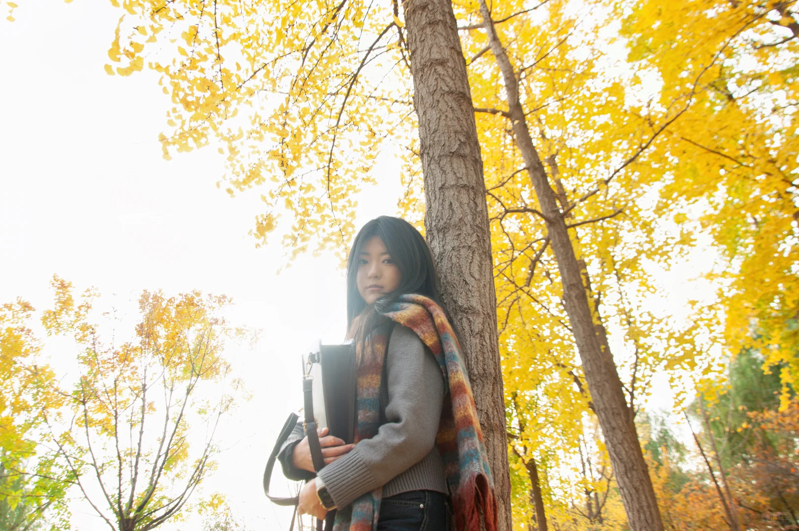 谢谢网友们 这两张帮我挑个bgm!!