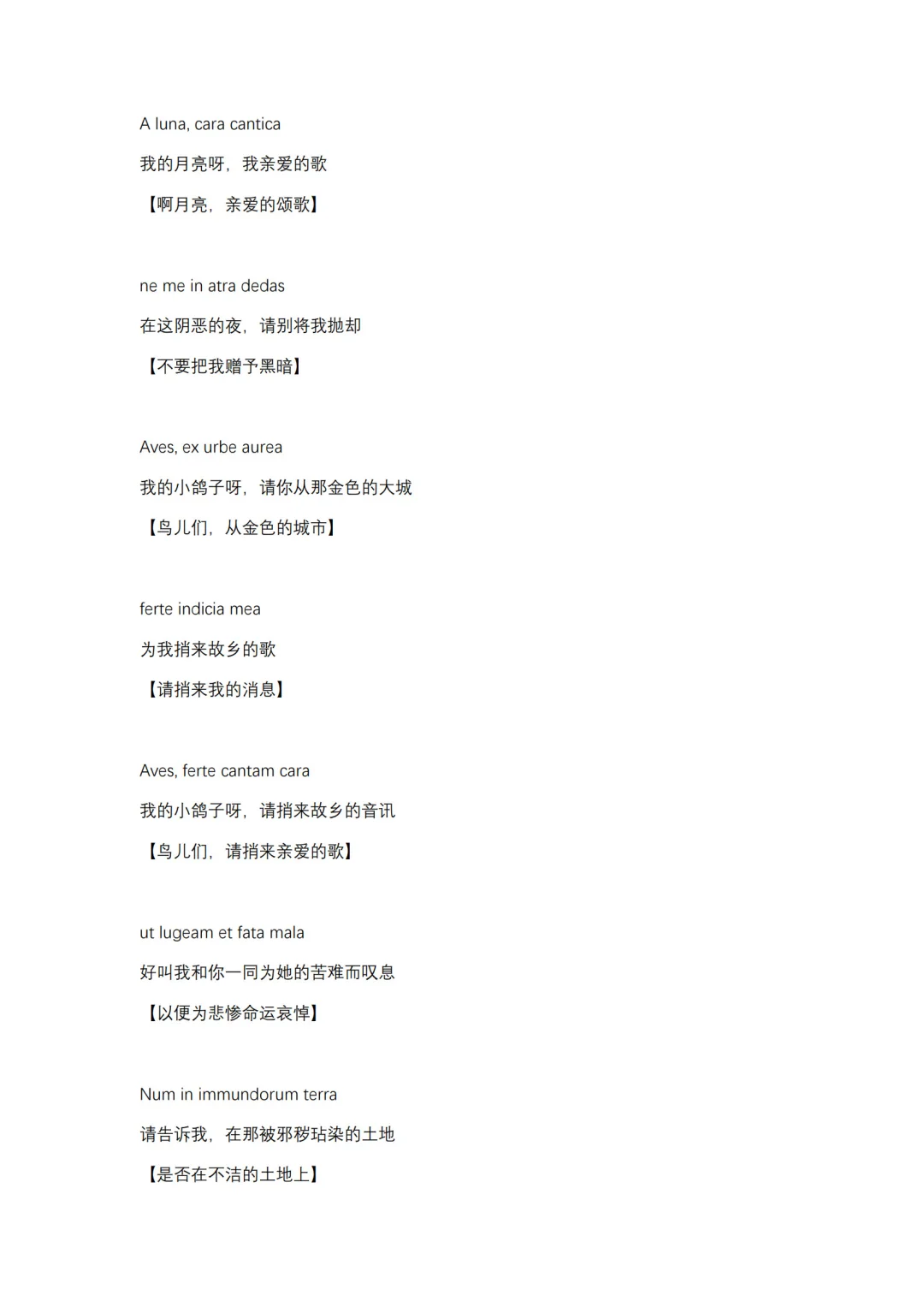 挪德卡莱主题曲歌词（附直译）