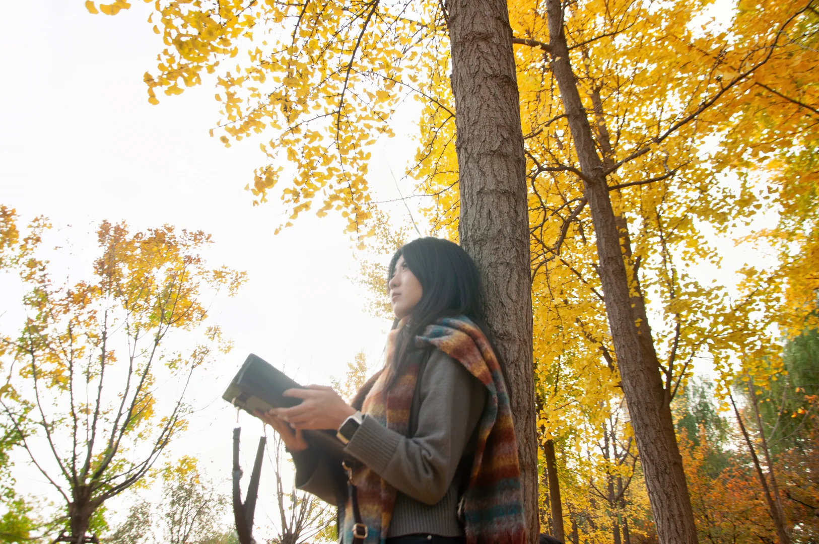 谢谢网友们 这两张帮我挑个bgm！！