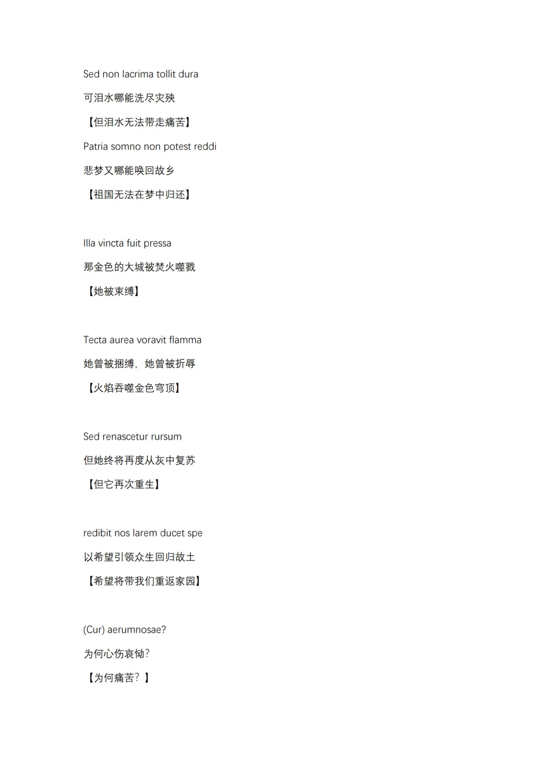 挪德卡莱主题曲歌词（附直译）