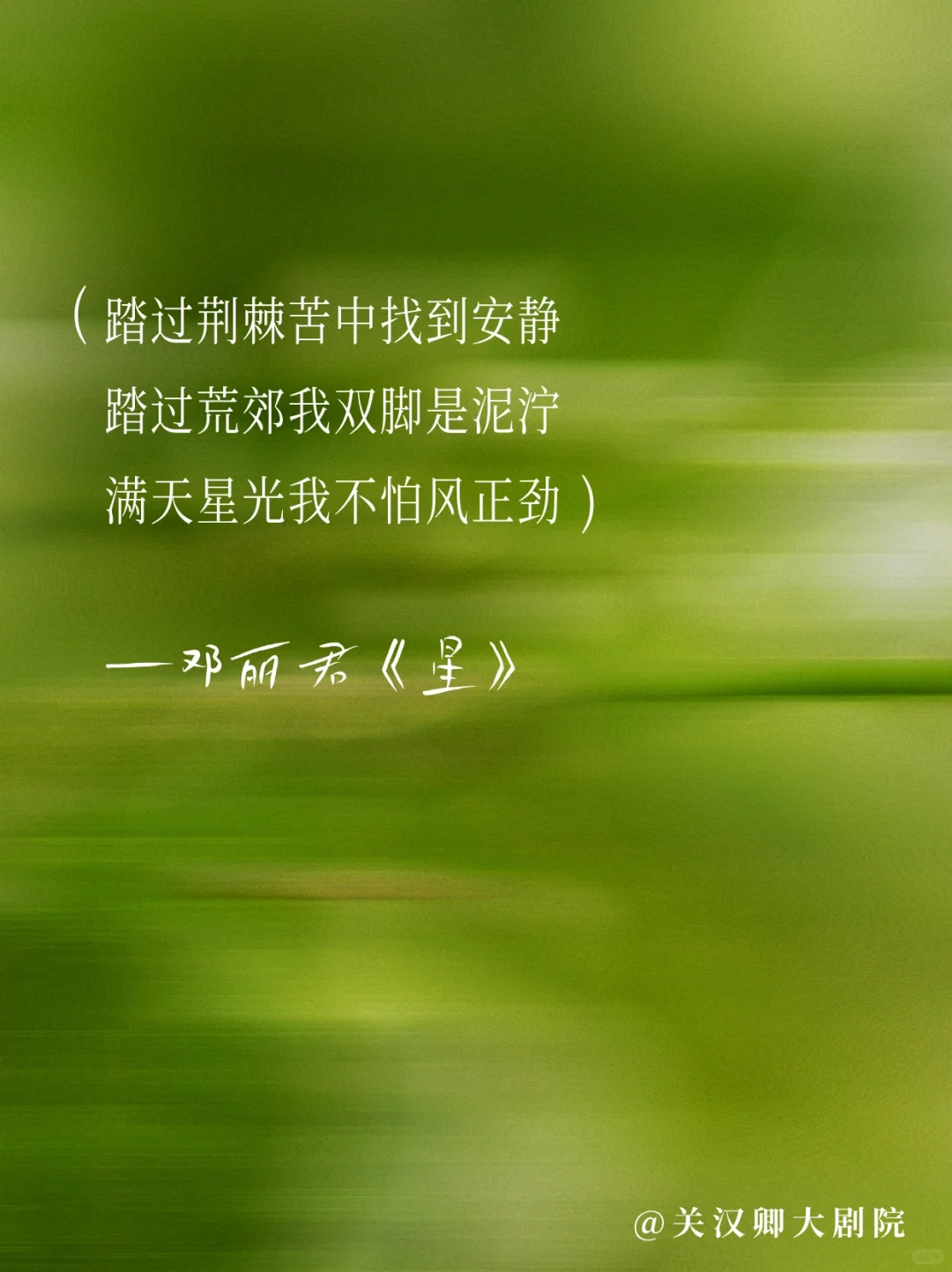 邓丽君的歌🎙️每一首都适合做文案！