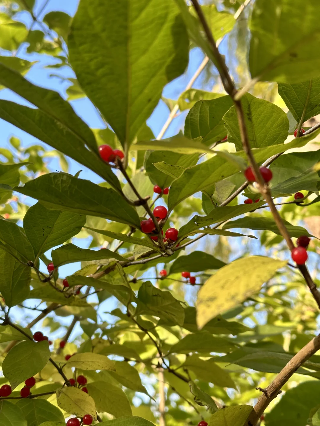 遇见自己第二站之落日音乐会
