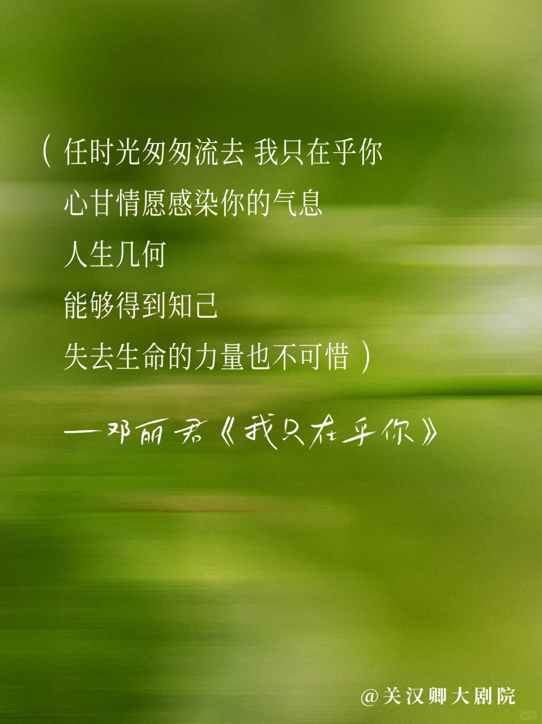 邓丽君的歌🎙️每一首都适合做文案！