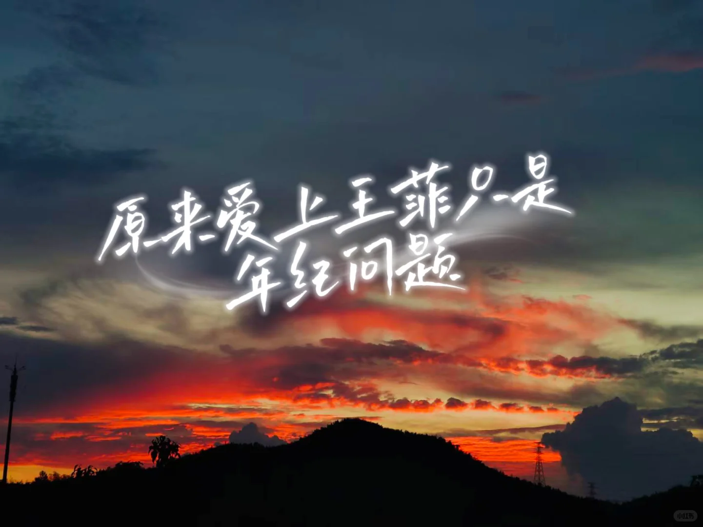 爱上王菲只是年纪问题～