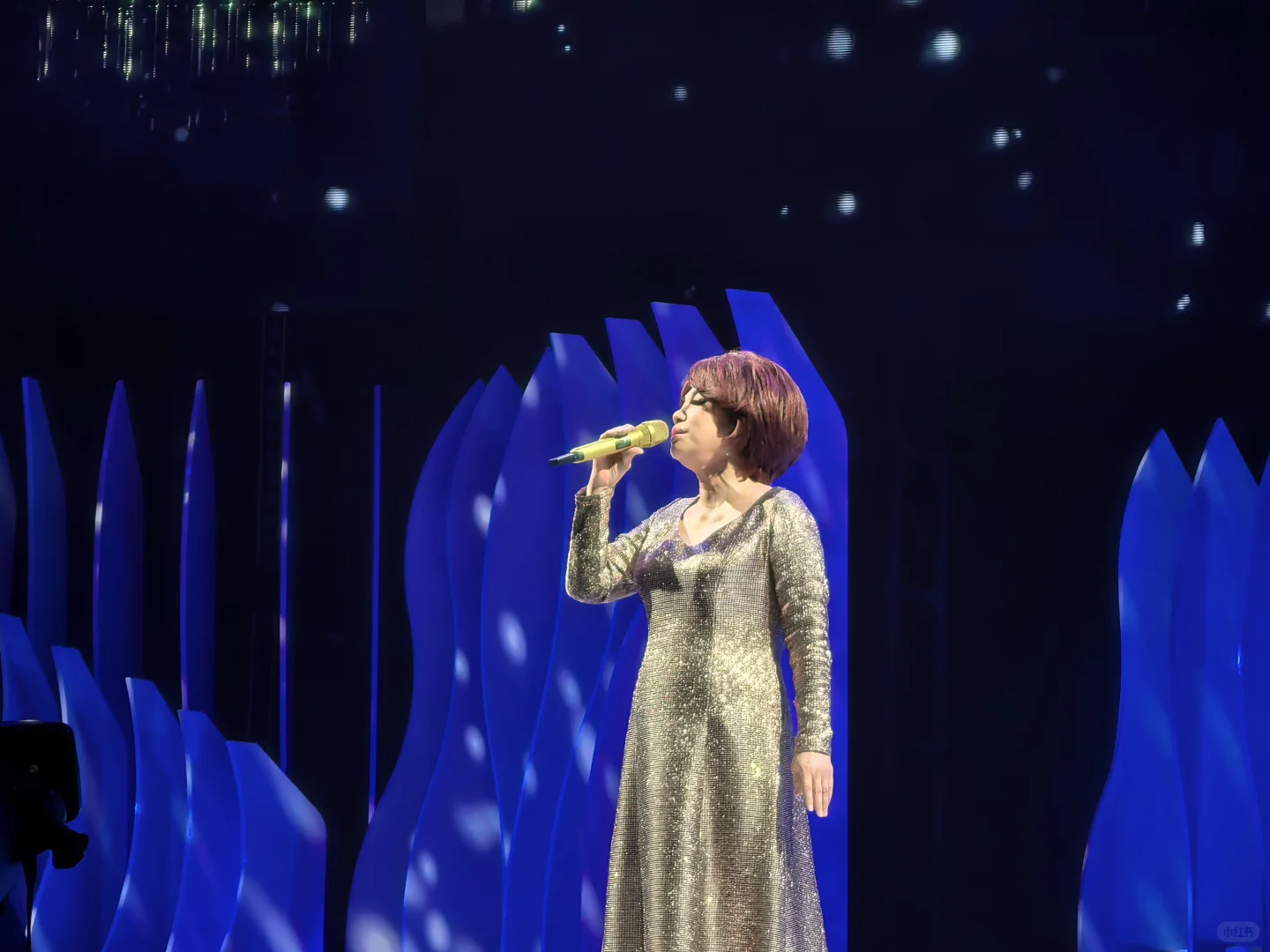 蔡琴 老歌永不落幕 🌹