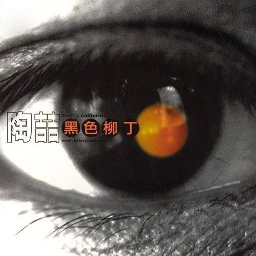 我的华语乐坛十佳专辑