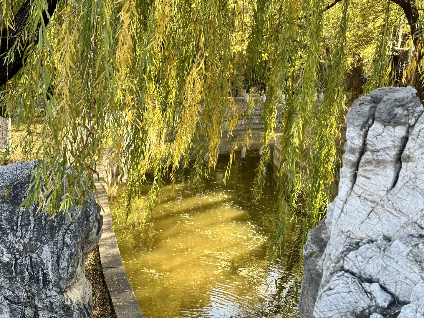 遇见自己第二站之落日音乐会