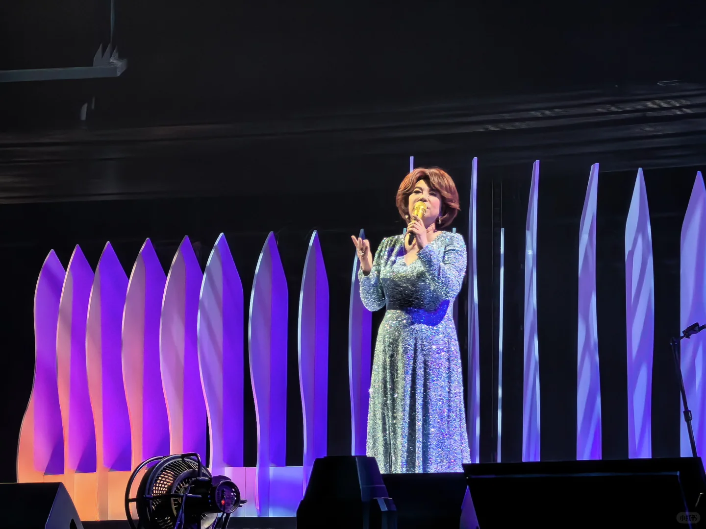 蔡琴 老歌永不落幕 🌹