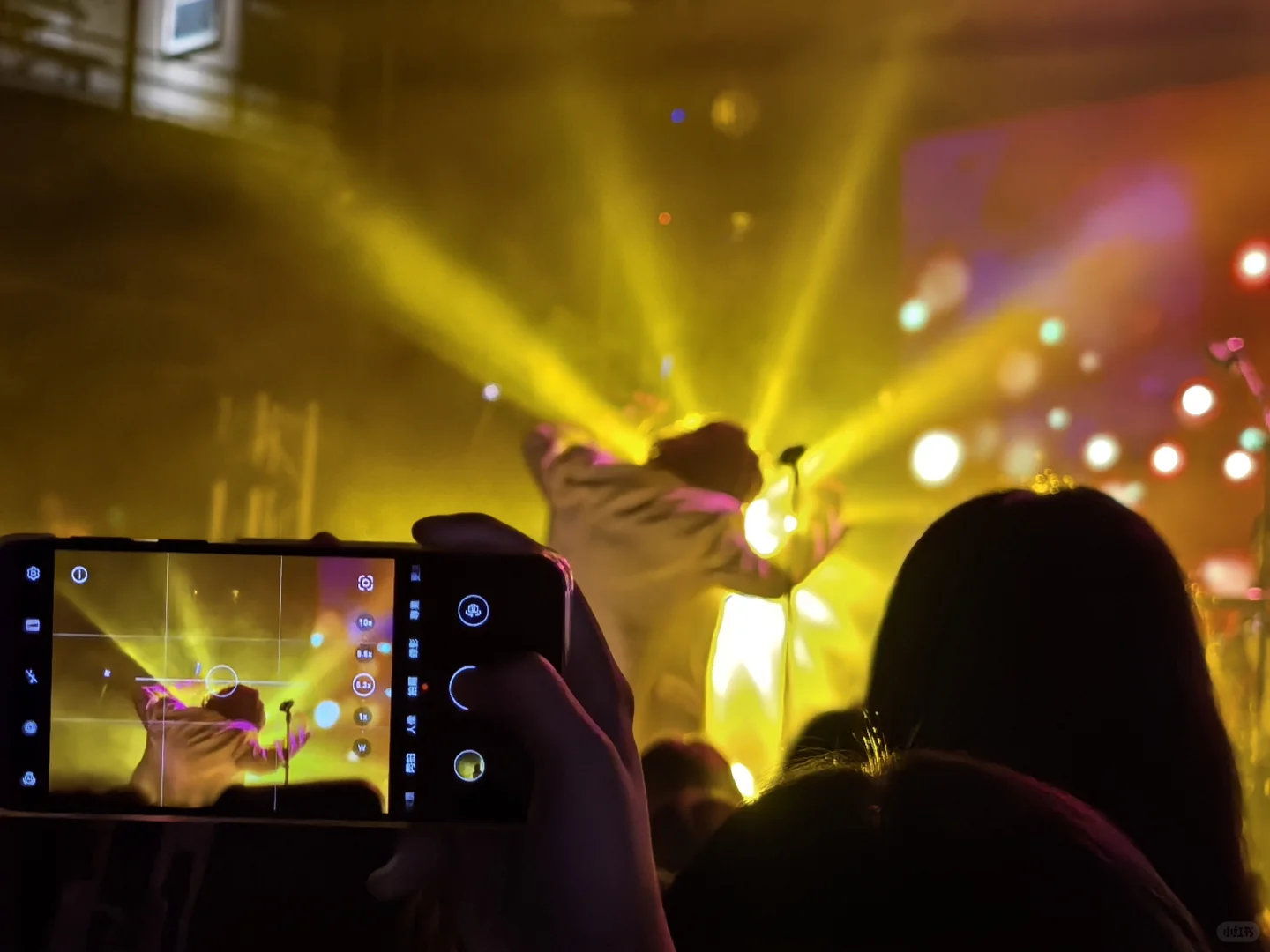 也许你已经忘了 昨晚我梦见这里