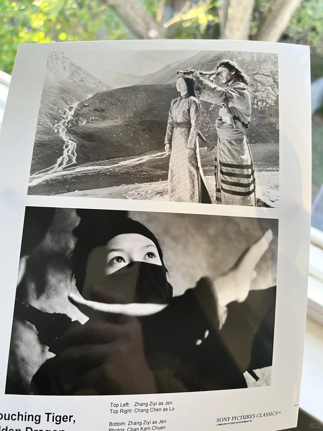 媒体电影资料套装No.55: 《卧虎藏龙》