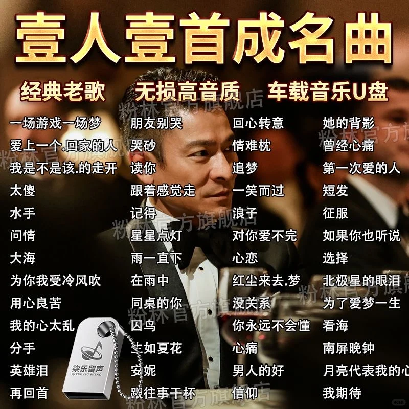 华语一人一首成名曲U盘怀旧金曲珍藏经典老