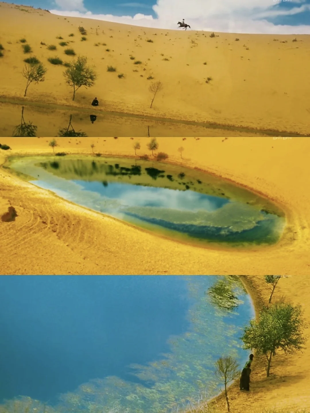 盘点我心中的华语电影导演Top11及其代表作