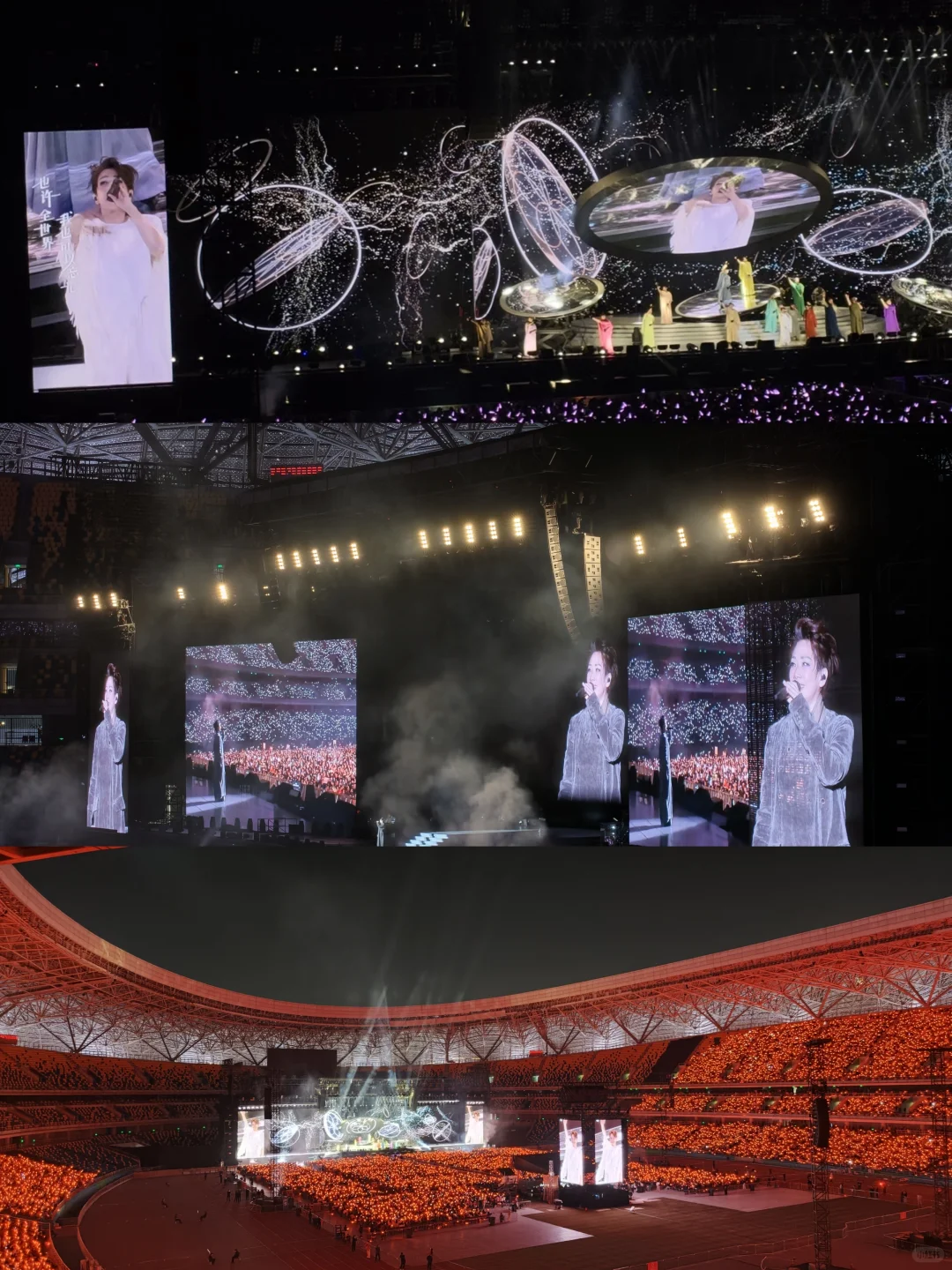 林忆莲西安演唱会