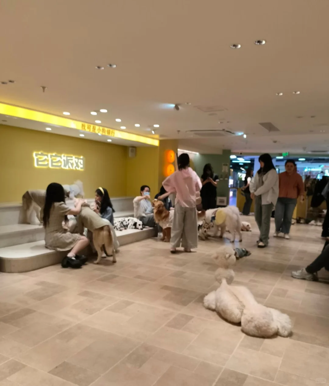 成都老二次元K歌/聚餐