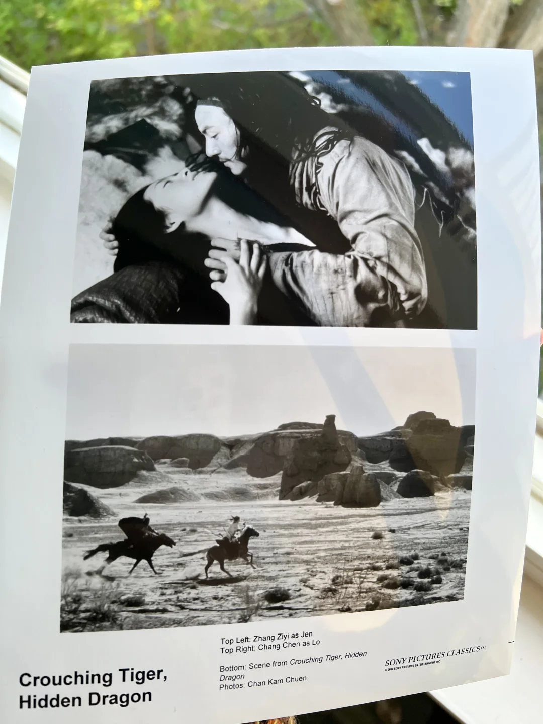 媒体电影资料套装No.55: 《卧虎藏龙》