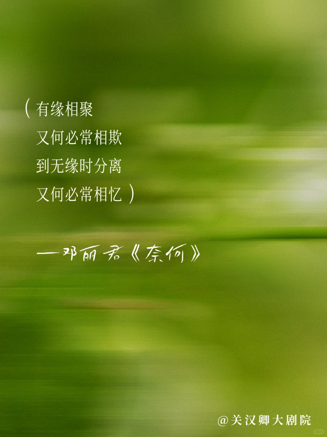 邓丽君的歌🎙️每一首都适合做文案！