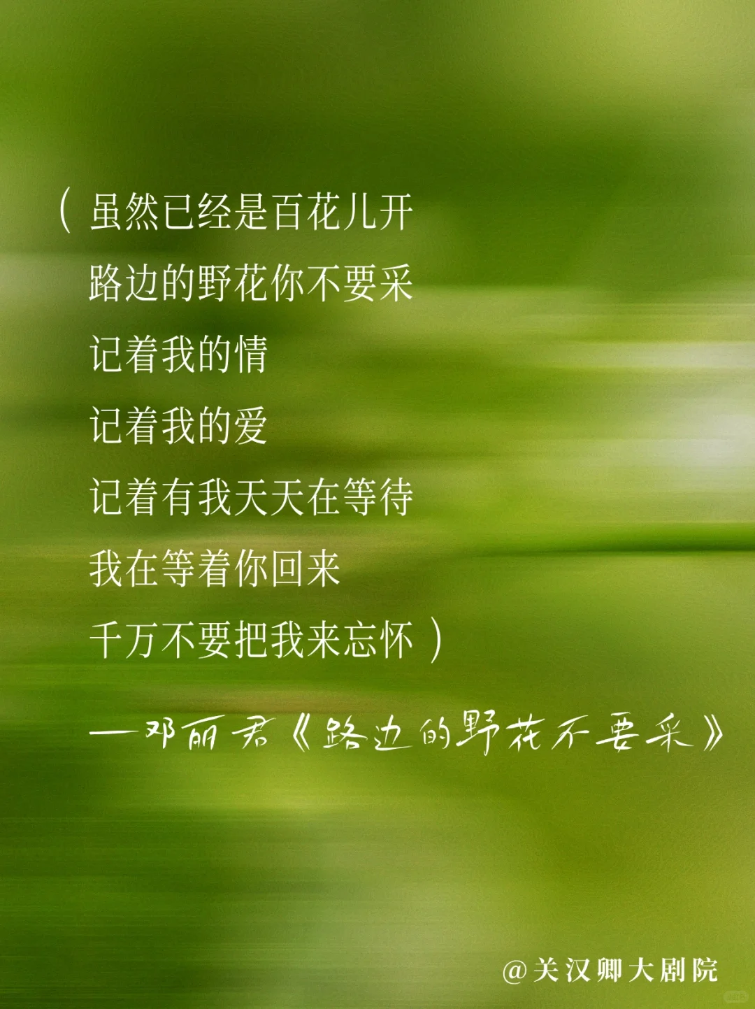 邓丽君的歌🎙️每一首都适合做文案！