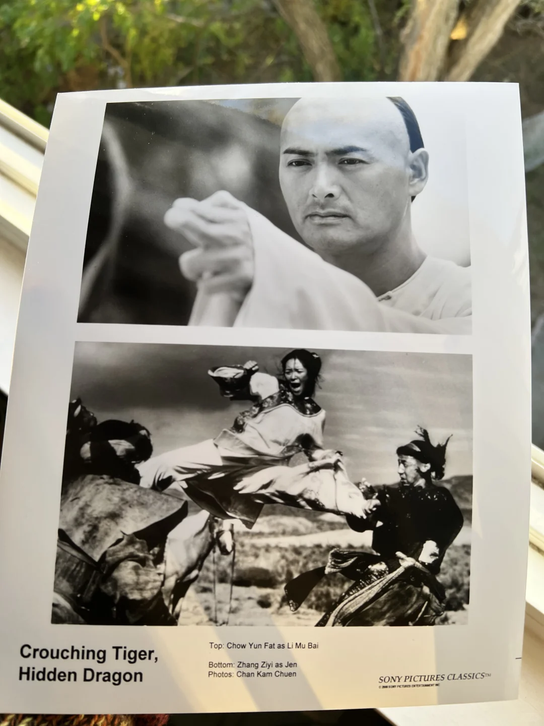 媒体电影资料套装No.55: 《卧虎藏龙》