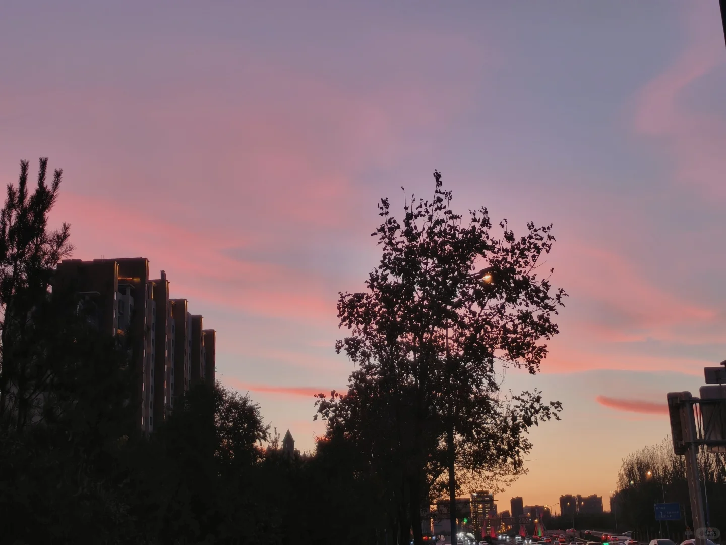 老歌是好听 ᖰ⌯'▾'⌯ᖳ