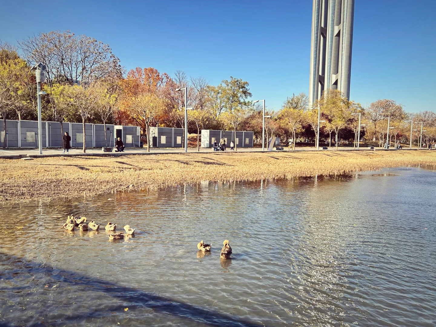 gap year｜奥森秋季限定浪漫
