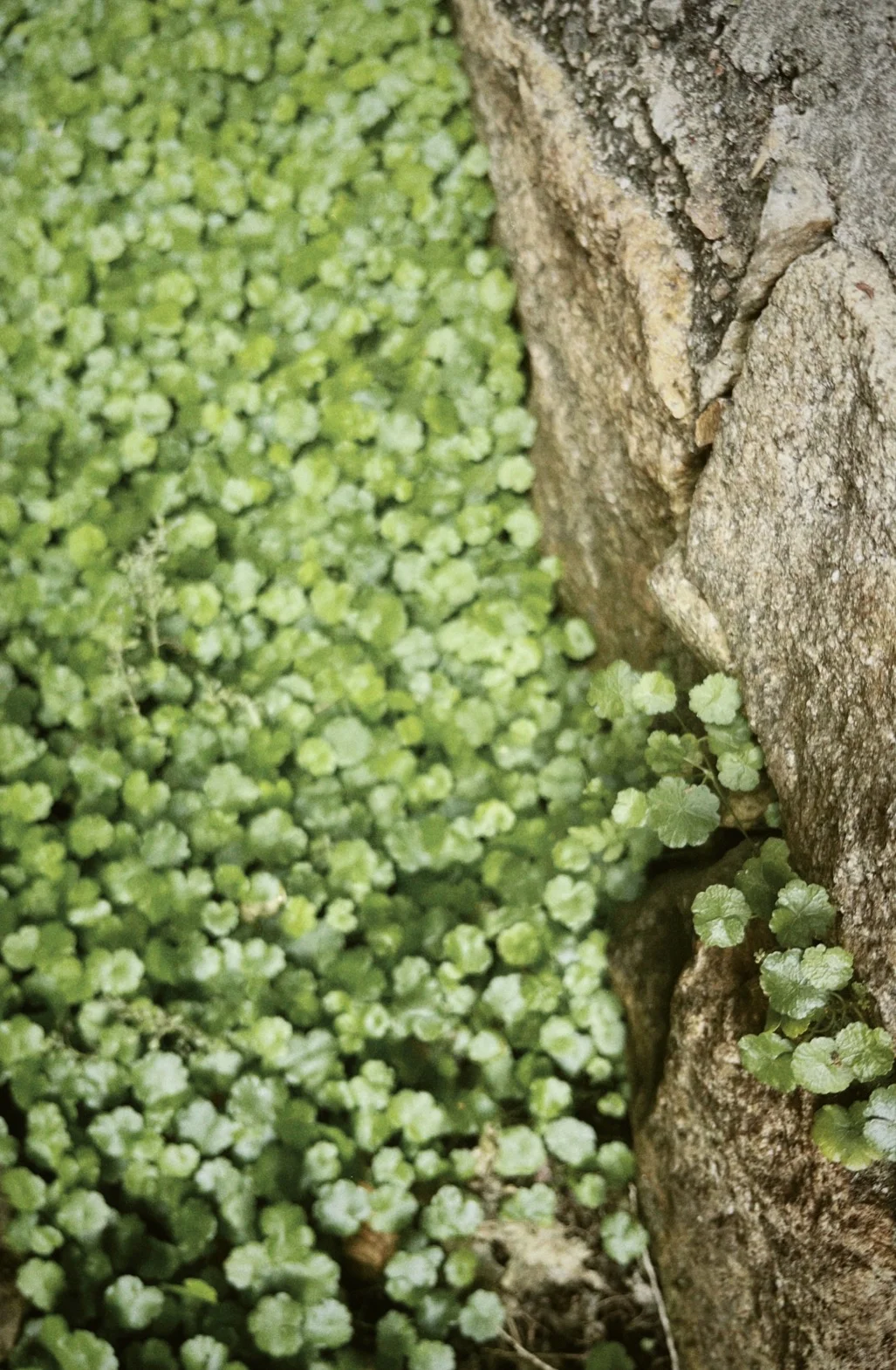 设计学研究生plog10