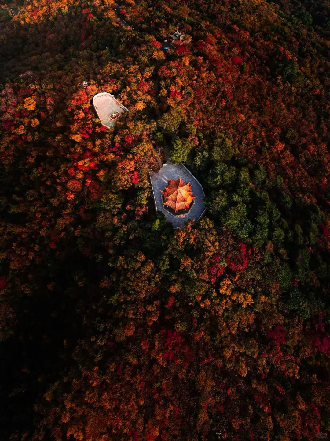 南京秋天的顶配是栖霞山「枫叶+老歌」双杀