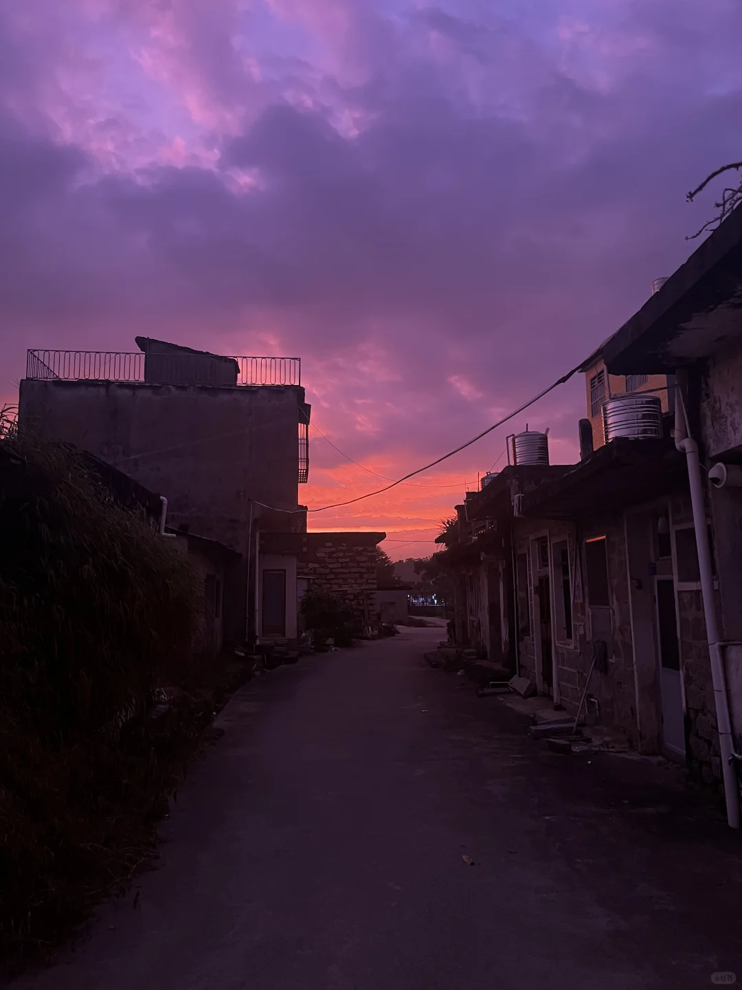 设计学研究生plog10