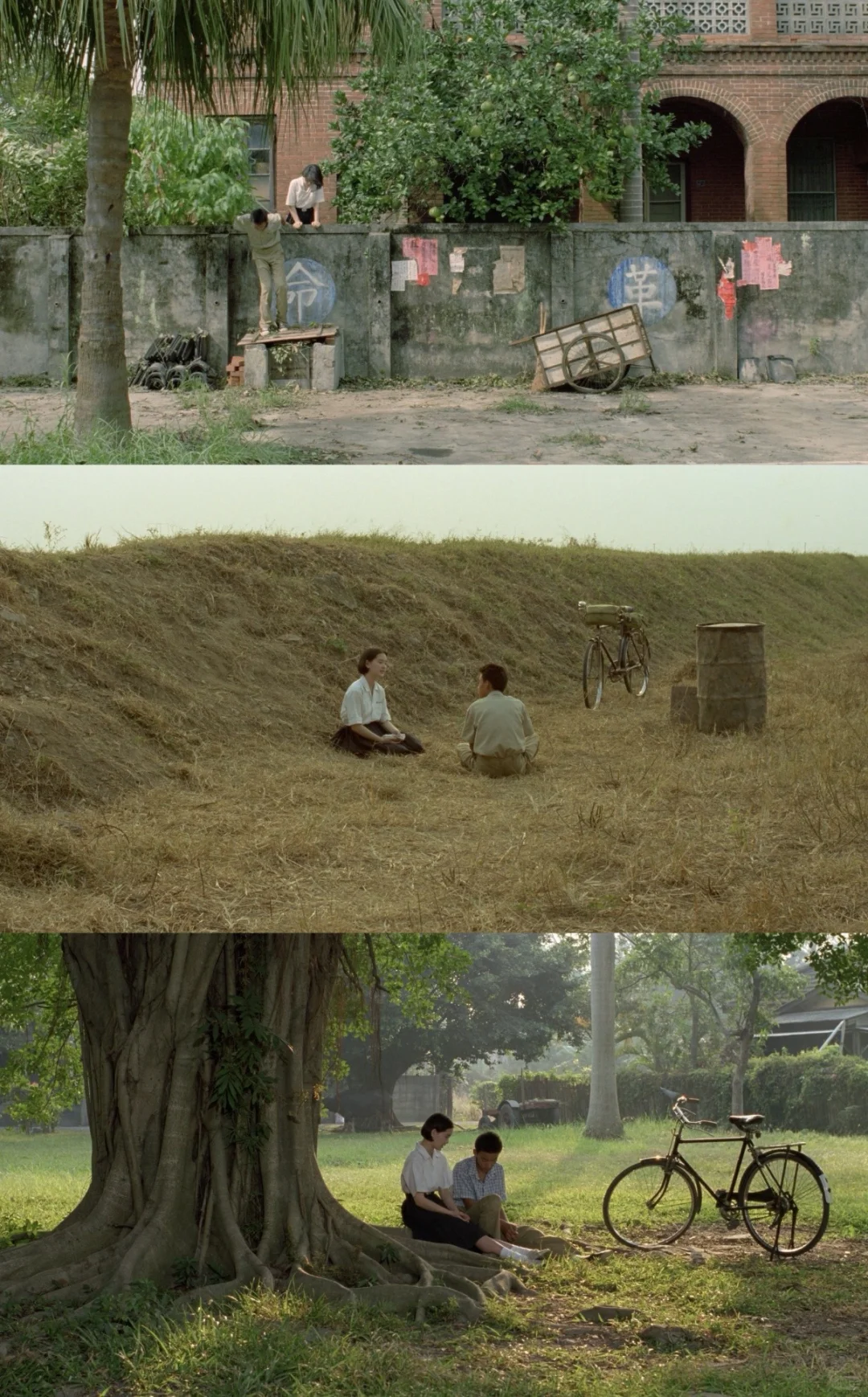 盘点我心中的华语电影导演Top11及其代表作