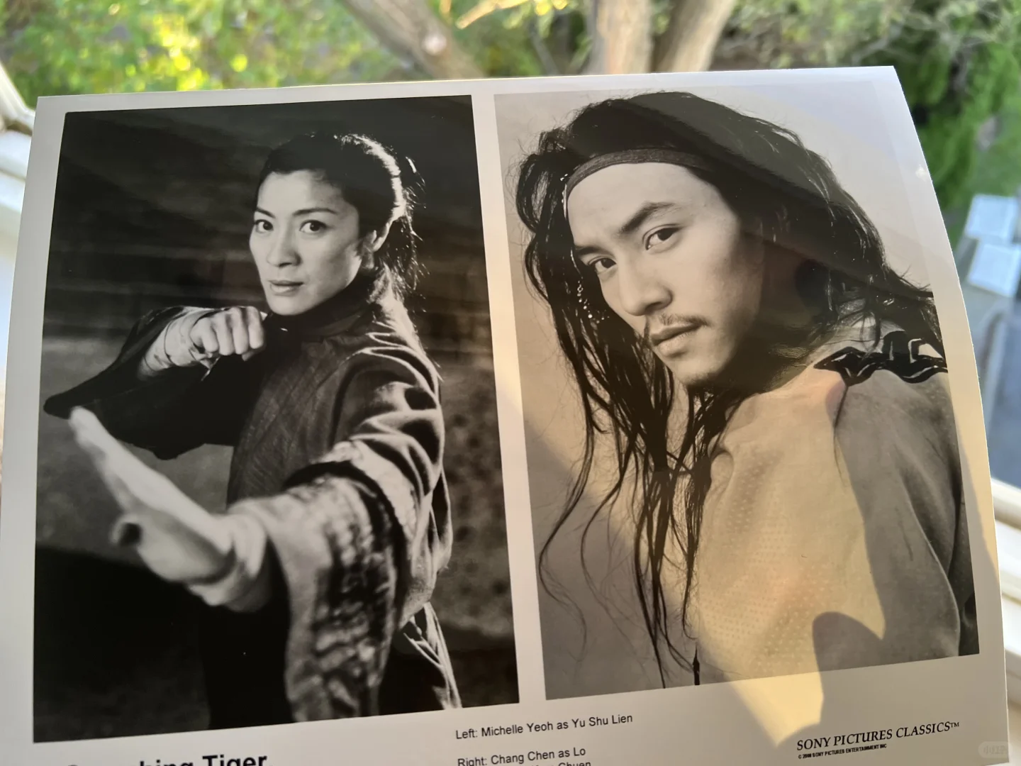 媒体电影资料套装No.55: 《卧虎藏龙》