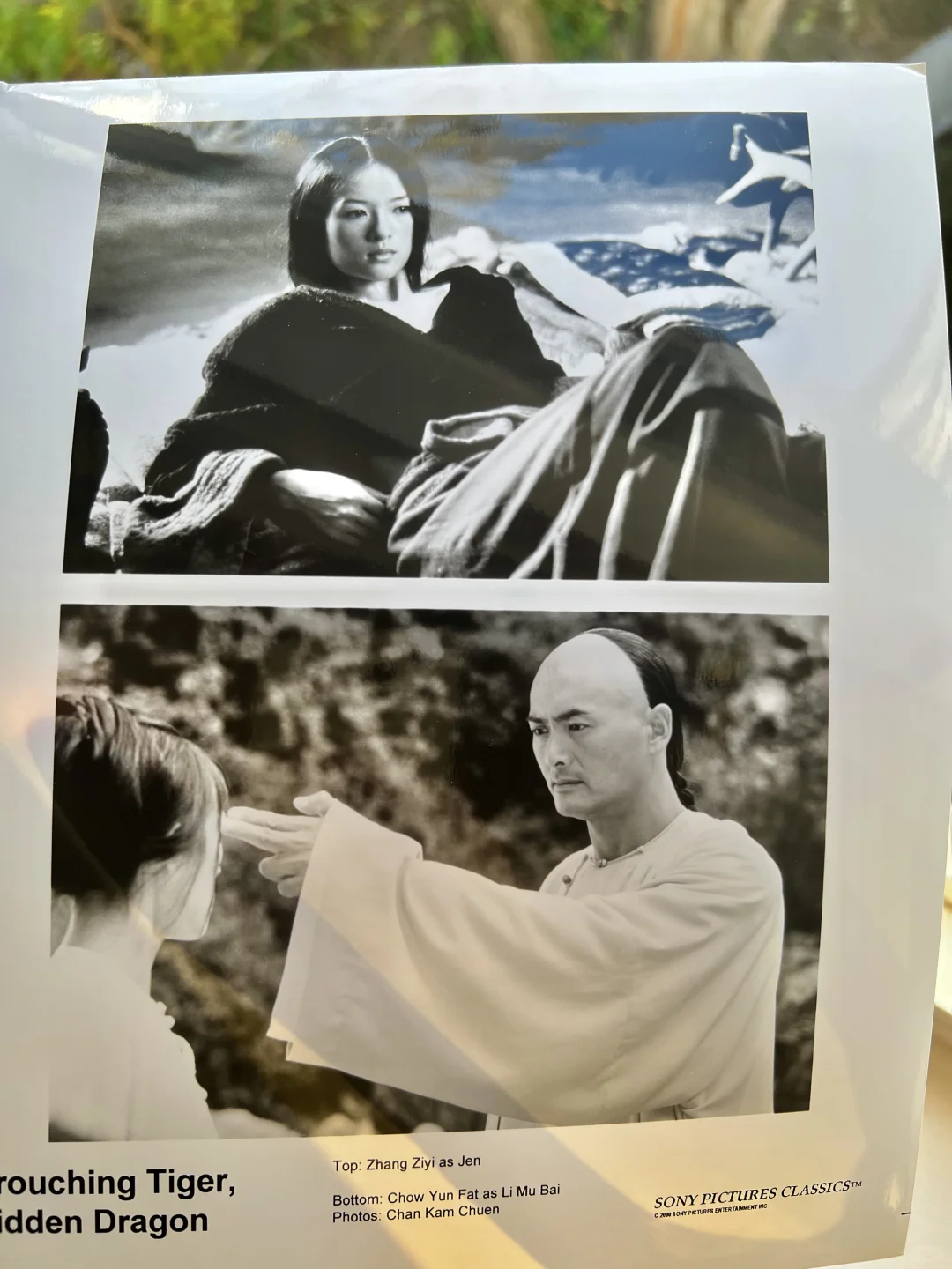 媒体电影资料套装No.55: 《卧虎藏龙》