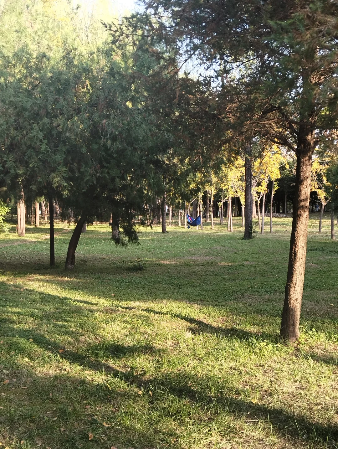 这一周感觉快“燃”尽了。