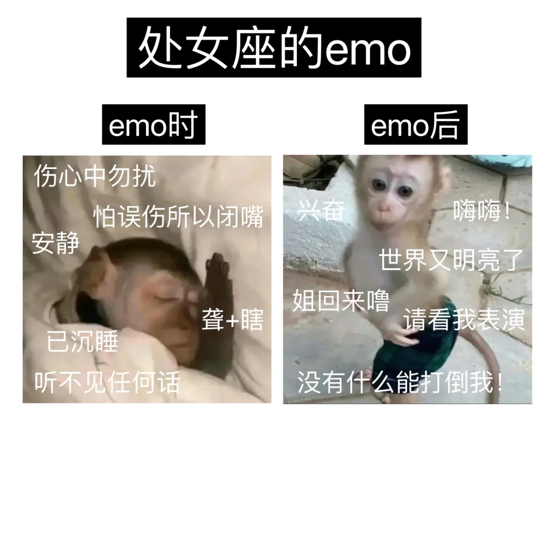 处女座但emo版