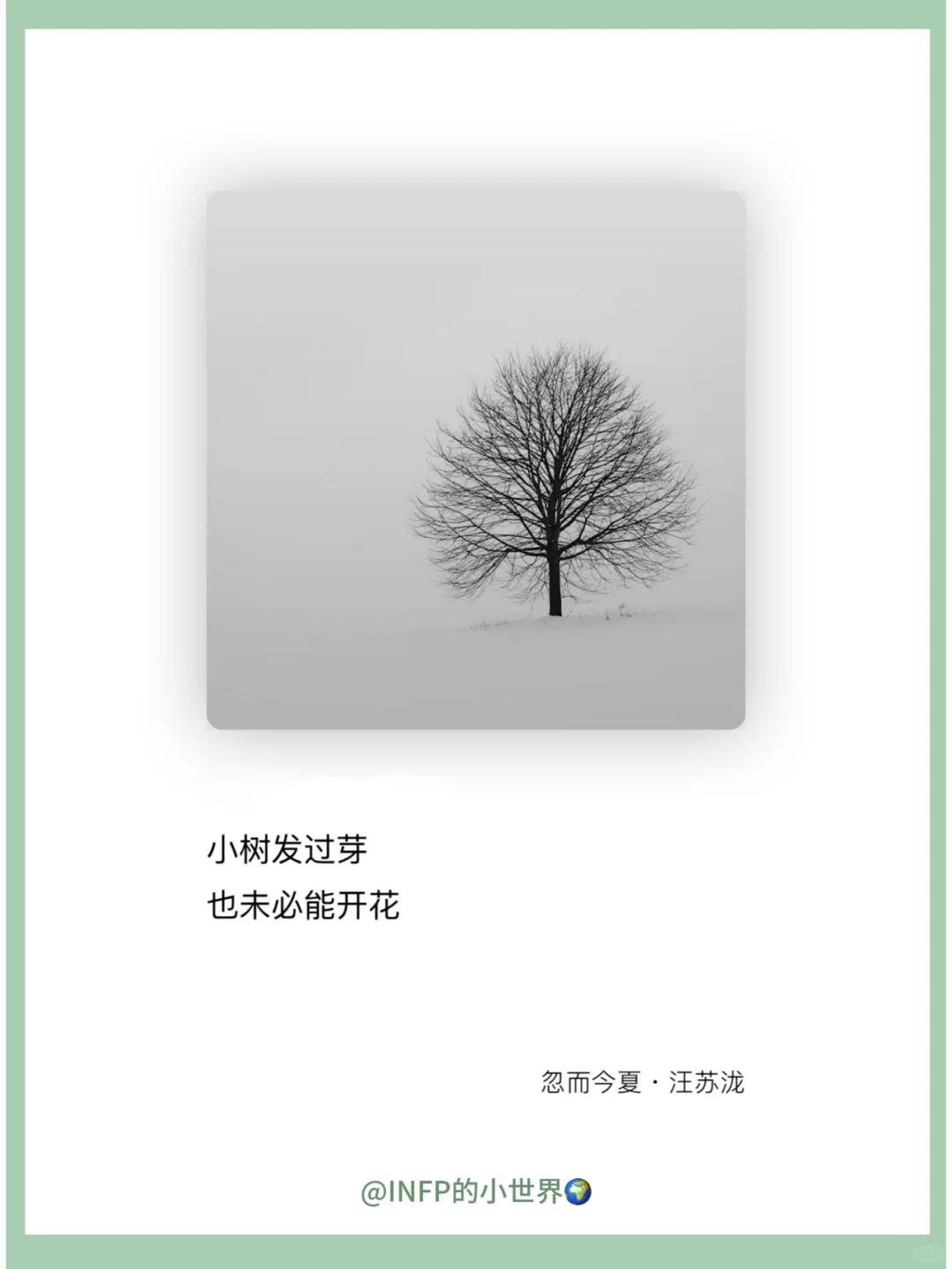 INFP | 那些戳中小蝴蝶内心的歌词