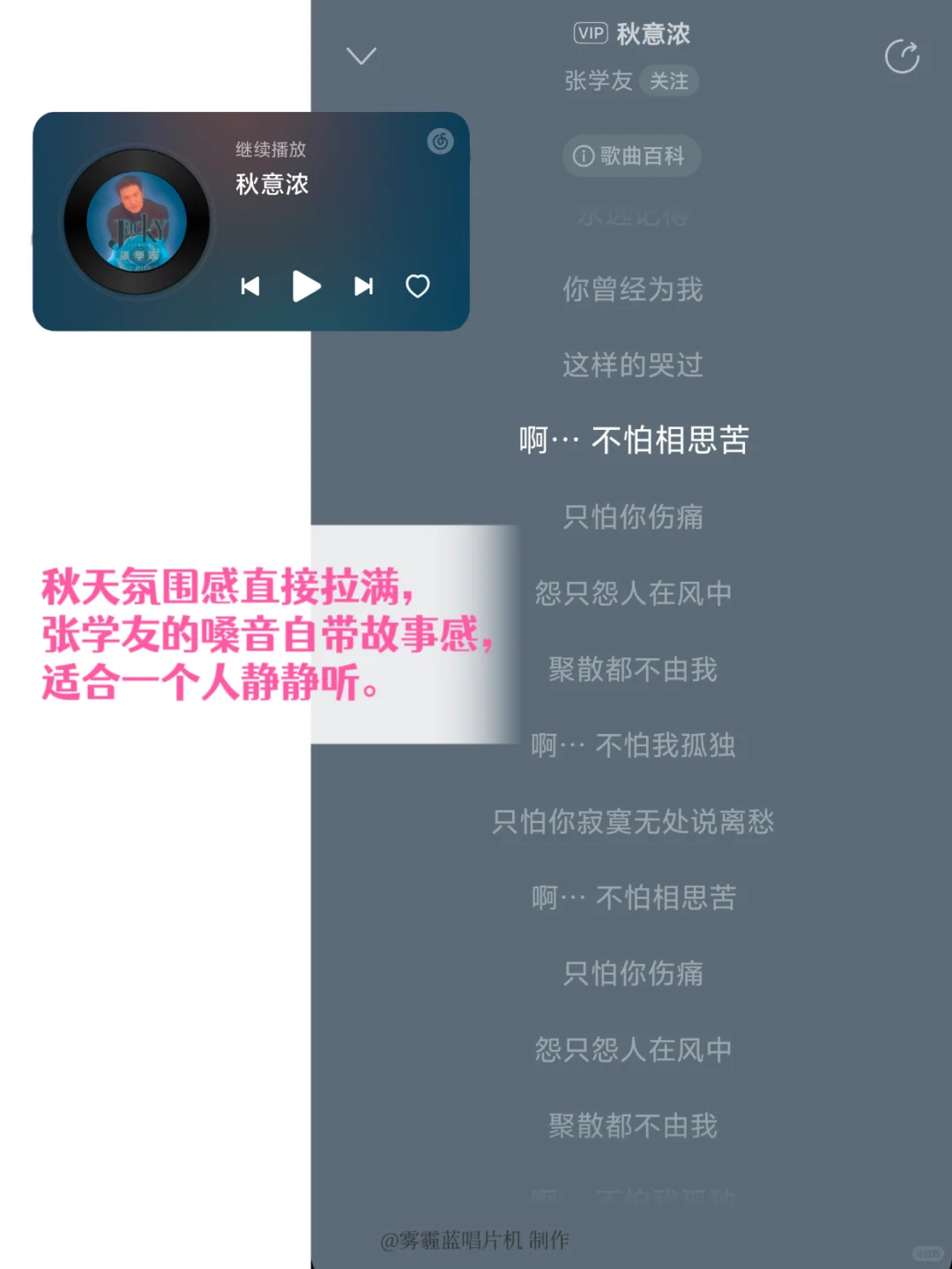 秋日歌单｜单曲循环|治愈emo整个心都化了